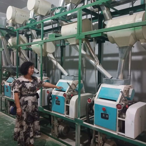 白城市巾幗電商創業致富技能培訓 學員眼中“超有料”的新征程